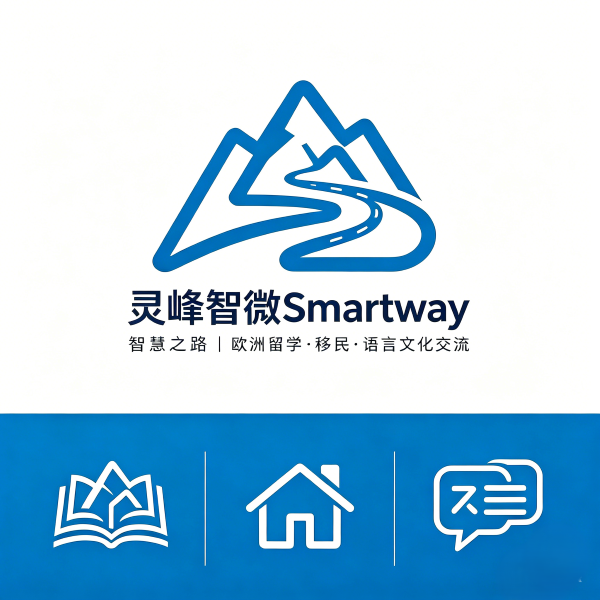 网站